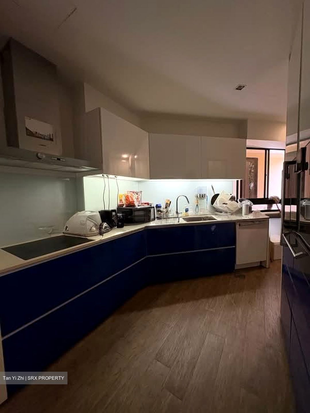 Dover Parkview (D5), Condominium #597132441